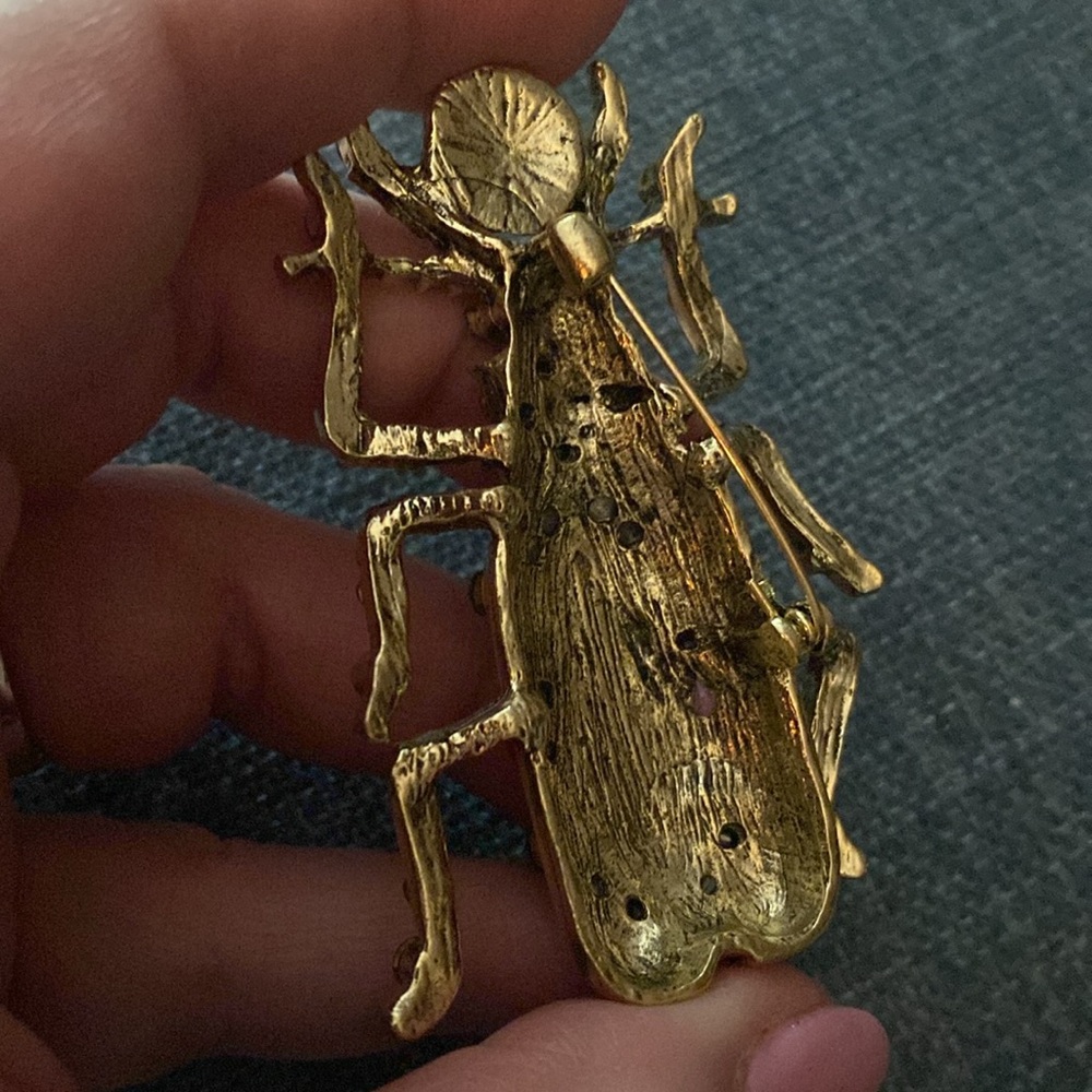 READ Large Beetle Brooch Yellow to Orange Coloration - Picture 3 of 4